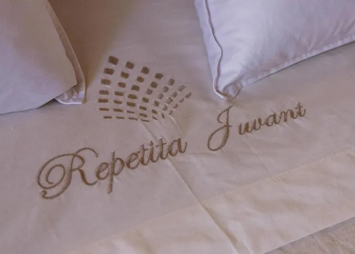 Repetita Juvant Couette-café 4*